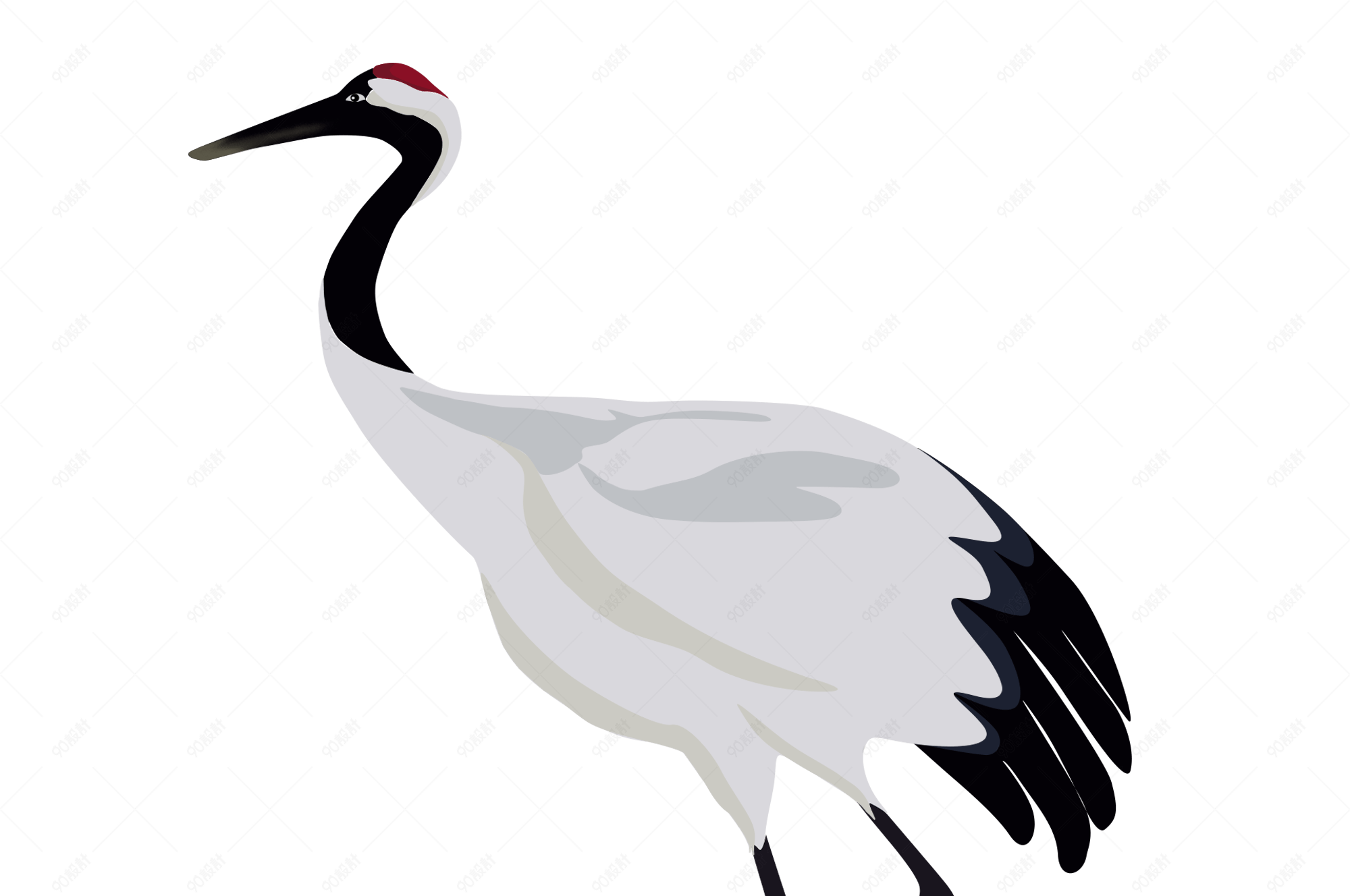 鹤仙鹤鸟野外卡通手绘大鸟