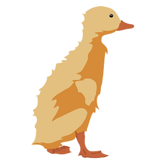 小鸭子丑小鸭家禽卡通手绘