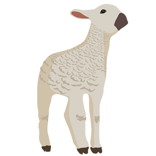 羊手绘图片大全