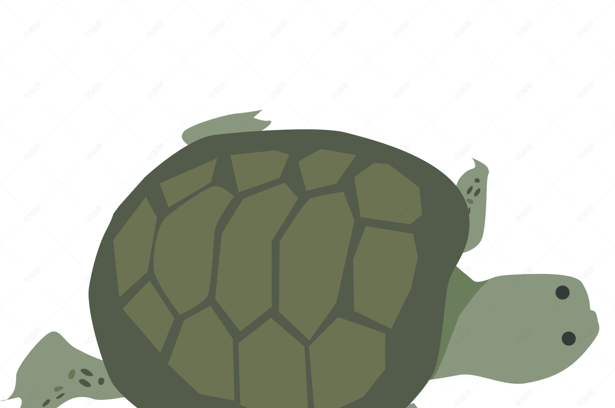 小乌龟壳类动物卡通手绘