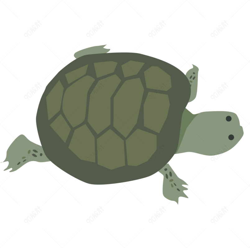小乌龟壳类动物卡通手绘