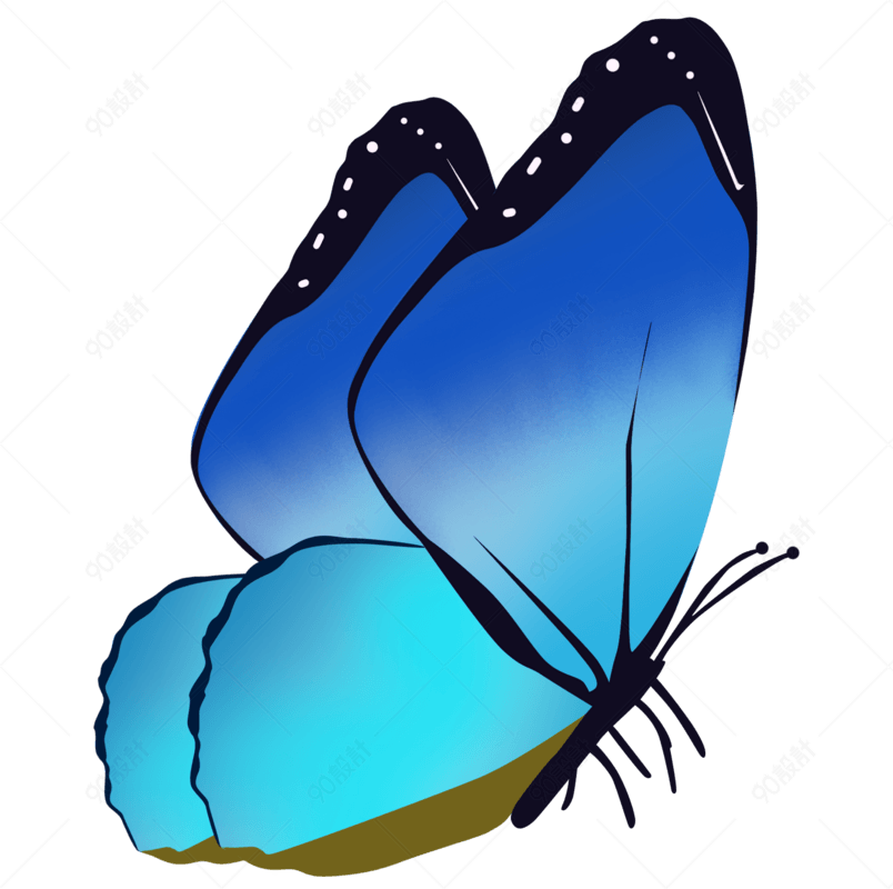 侧面蝴蝶卡通动物高清矢量