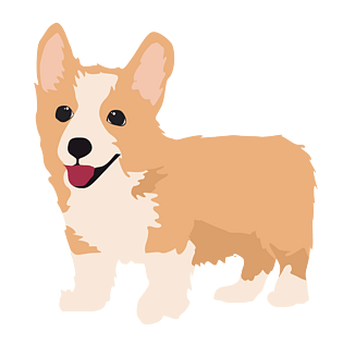 柯基狗狗小狗狗萌宠卡通手绘