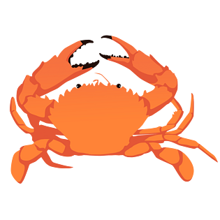 螃蟹海洋动物壳类动物卡通手绘