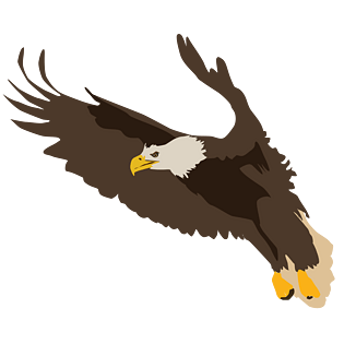 鹰展翅雄鹰展翅飞翔雄鹰展翅雄鹰飞翔雄鹰杏花小鸟展翅水墨雄鹰翱翔