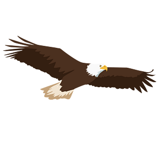 鹰展翅雄鹰卡通手绘高清矢量