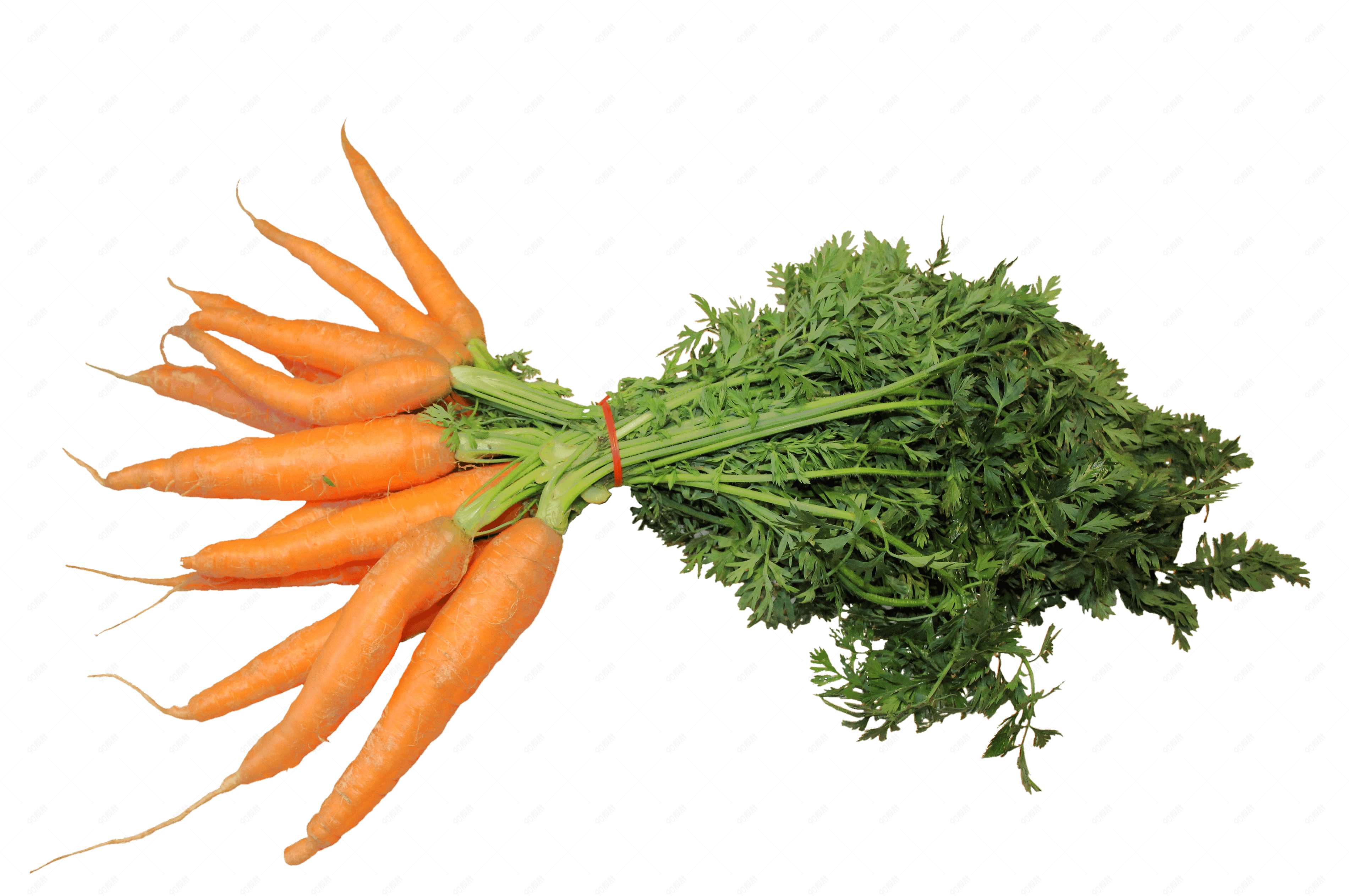 厨房蔬菜产品带叶胡萝卜