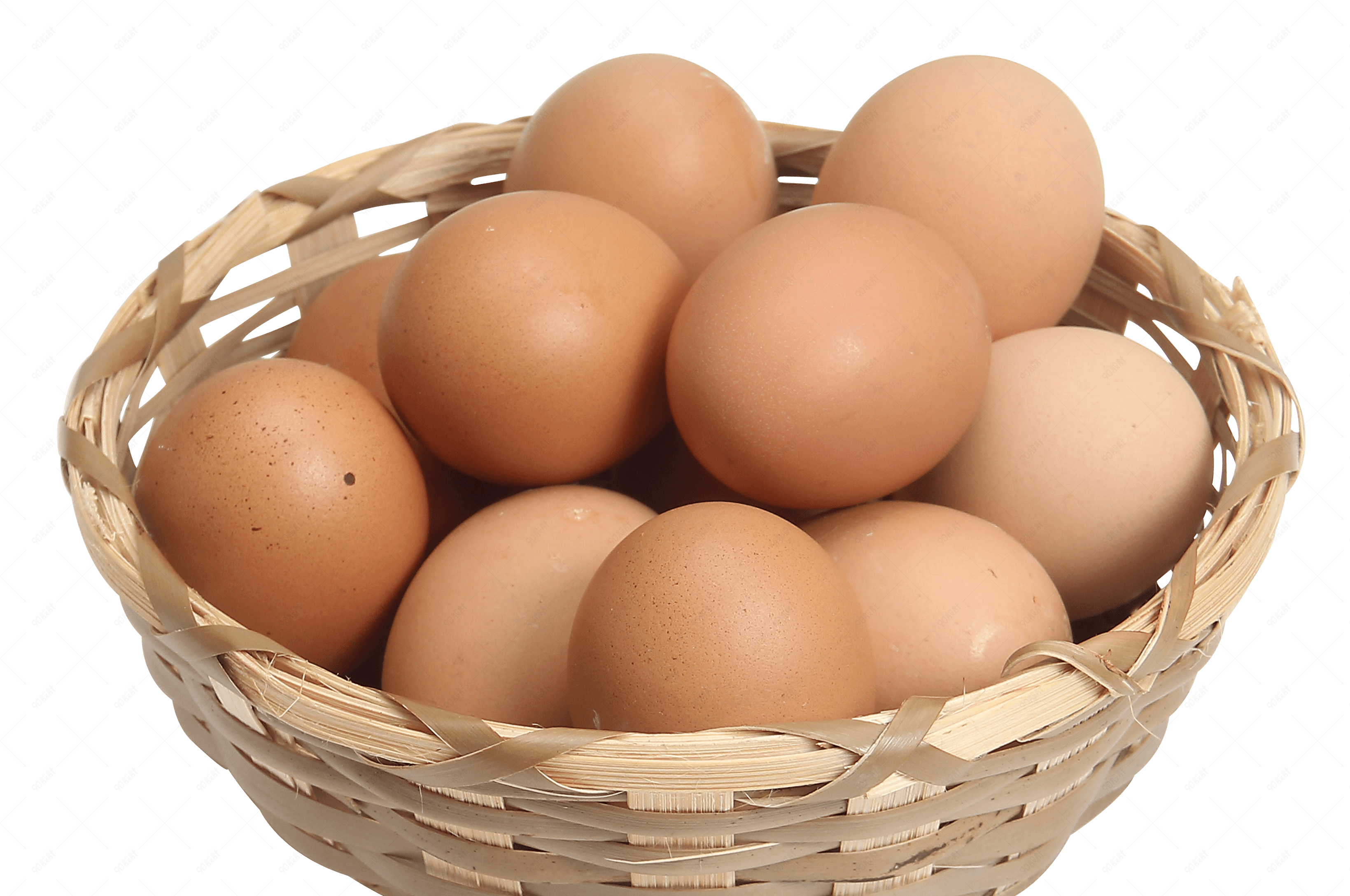 篮子里的生鸡蛋卵细胞