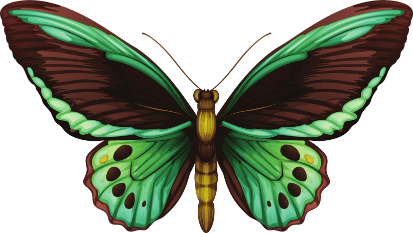 pngpsd2000*2000竹绿国潮蝴蝶结样式装饰元素pngpsd2000*2000纯原创