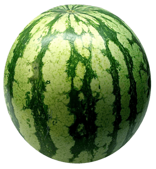 夏季西瓜图片大全