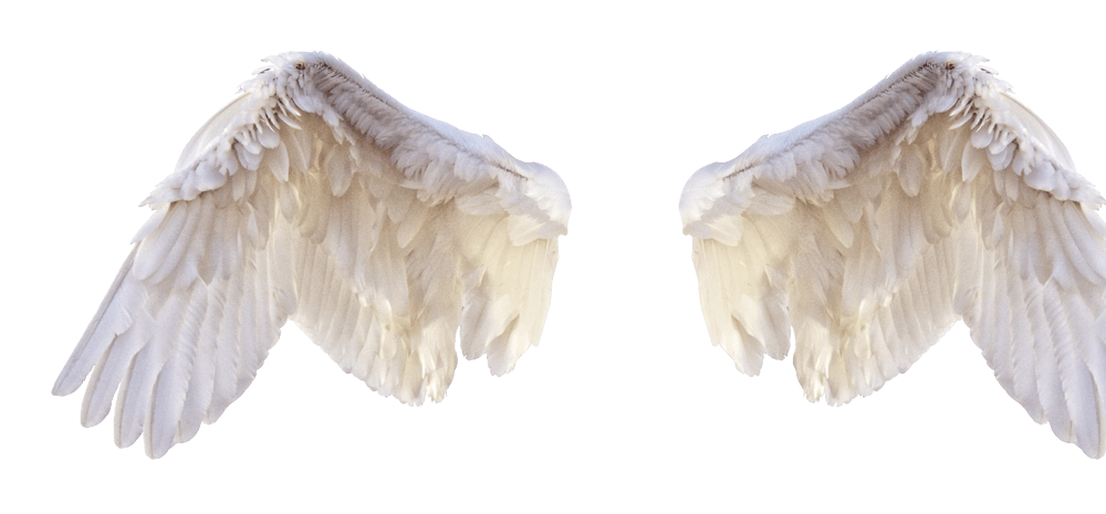 天使恶魔翅膀图片大全