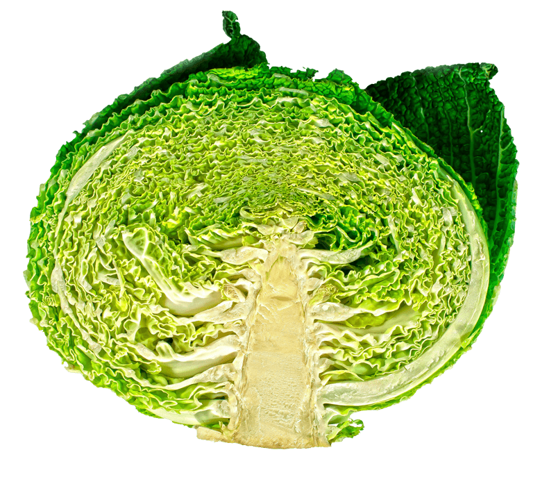 切开横切面蔬菜植物包菜