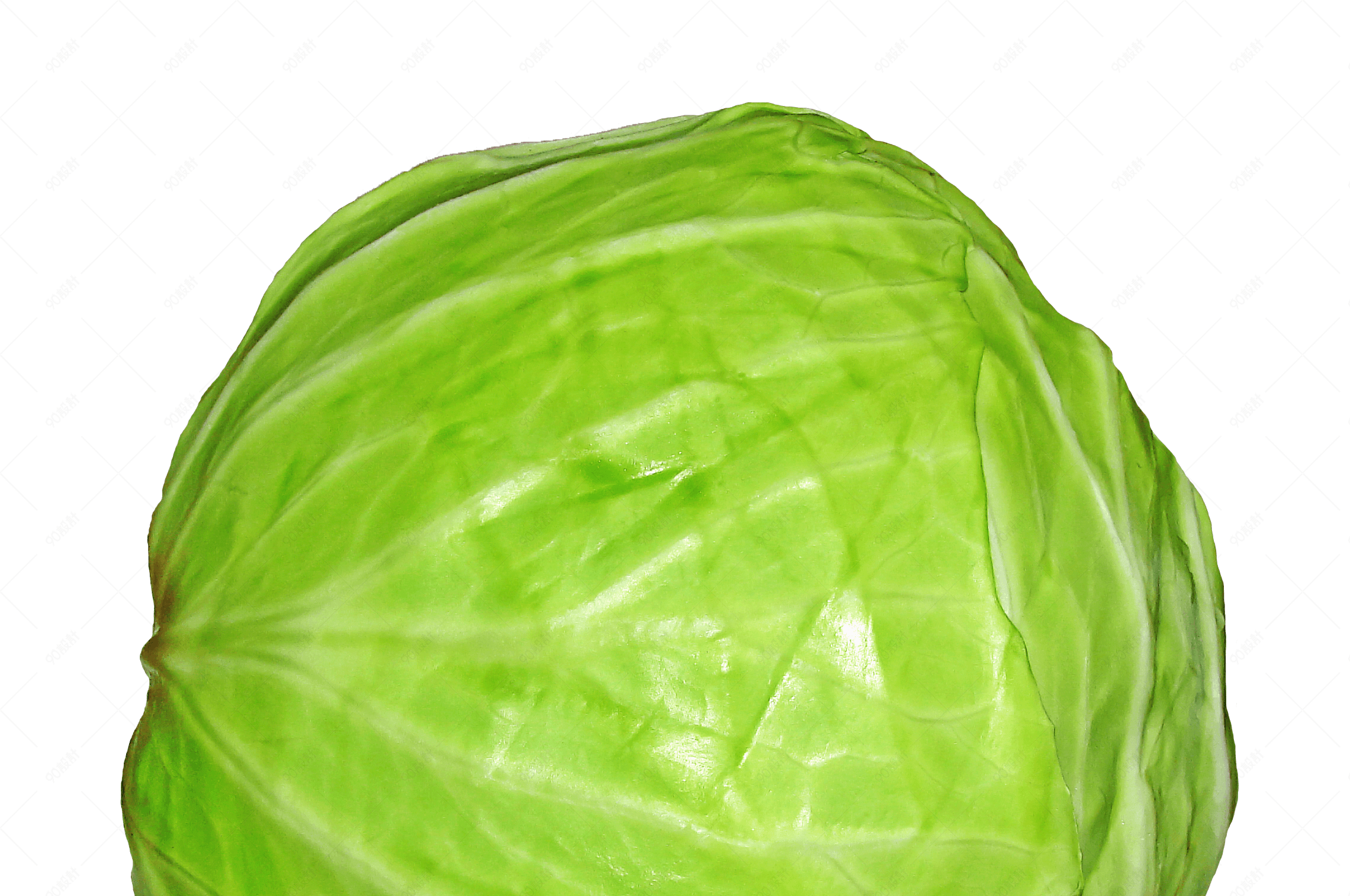 球状蔬菜菜品包菜植物