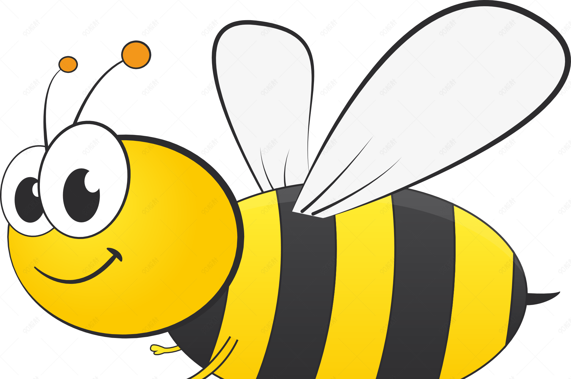 自然界黄黑色条纹昆虫蜜蜂