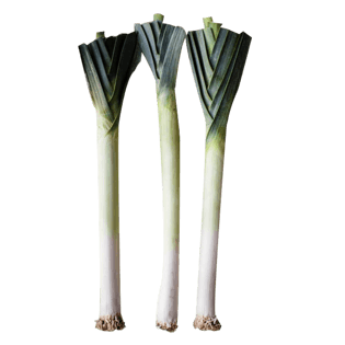 大葱辣椒图片大全_大葱辣椒图片素材【png免费下载】-90设计网