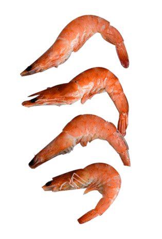 围幔图片大全_围幔图片素材【png免费下载】-90设计网