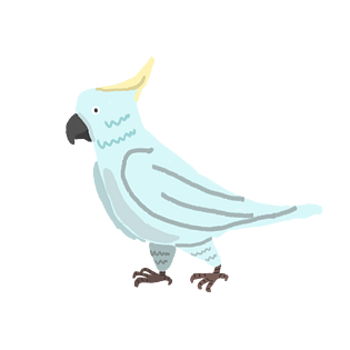 可爱宠物日式卡通手绘蓝色鹦鹉png