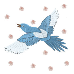 喜鹊花图片大全