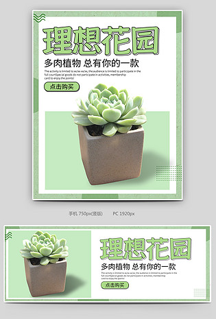 多肉植物室内植物盆栽日常上新海报