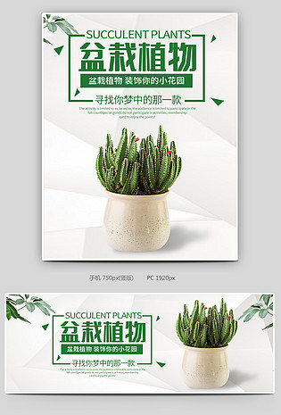 盆栽植物鲜花多肉日常上新活动海报