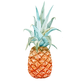 插画写实菠萝彩色系水彩装饰