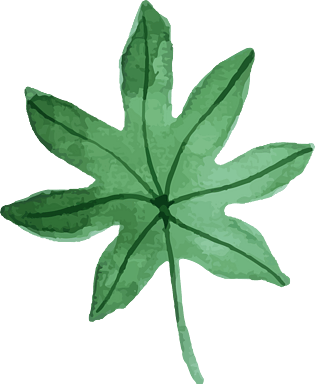 绿色水彩植物图片大全