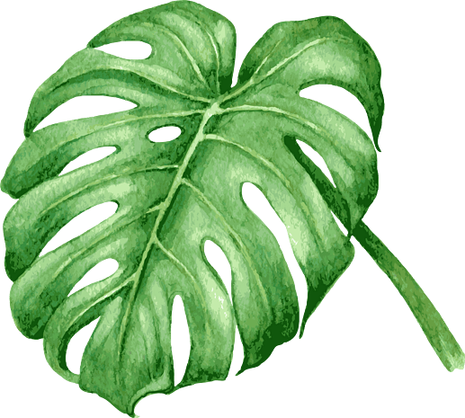 手绘插画水彩风格绿色植物树叶