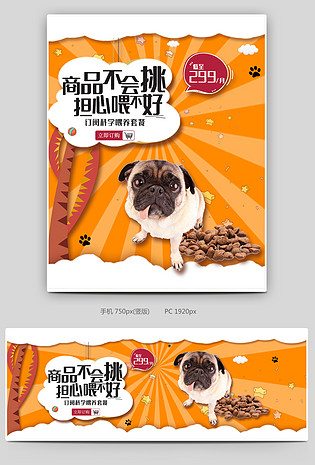 橘色时尚简约小清新可爱宠物海报