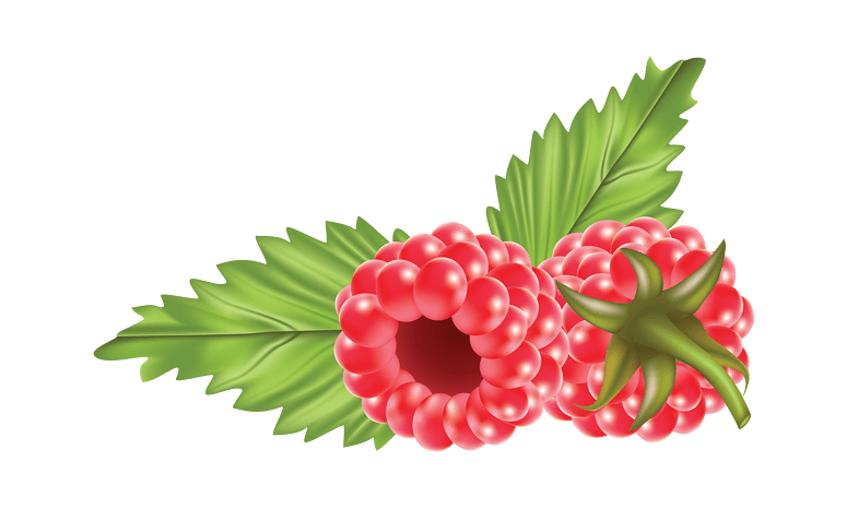 手绘植物水果树莓素材