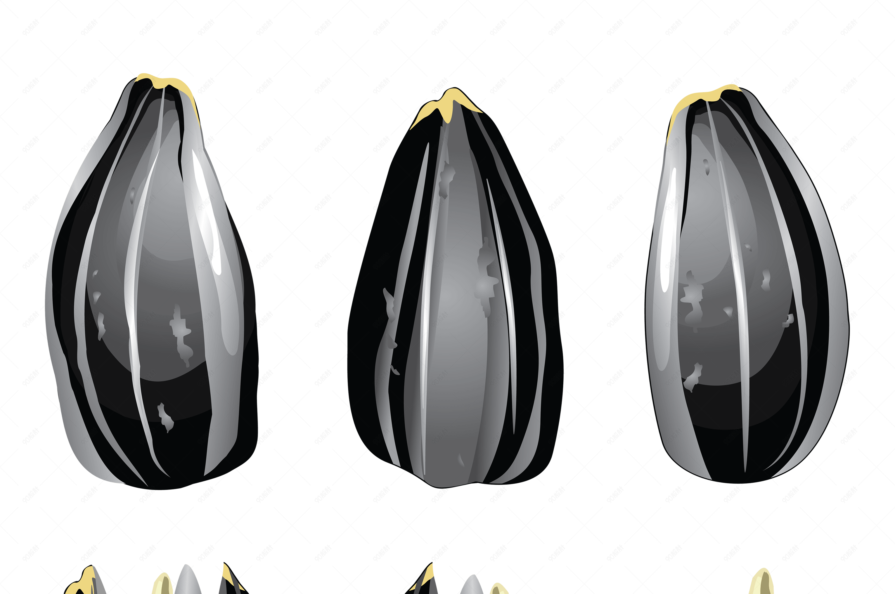 手绘葵花籽瓜子仁免扣素材