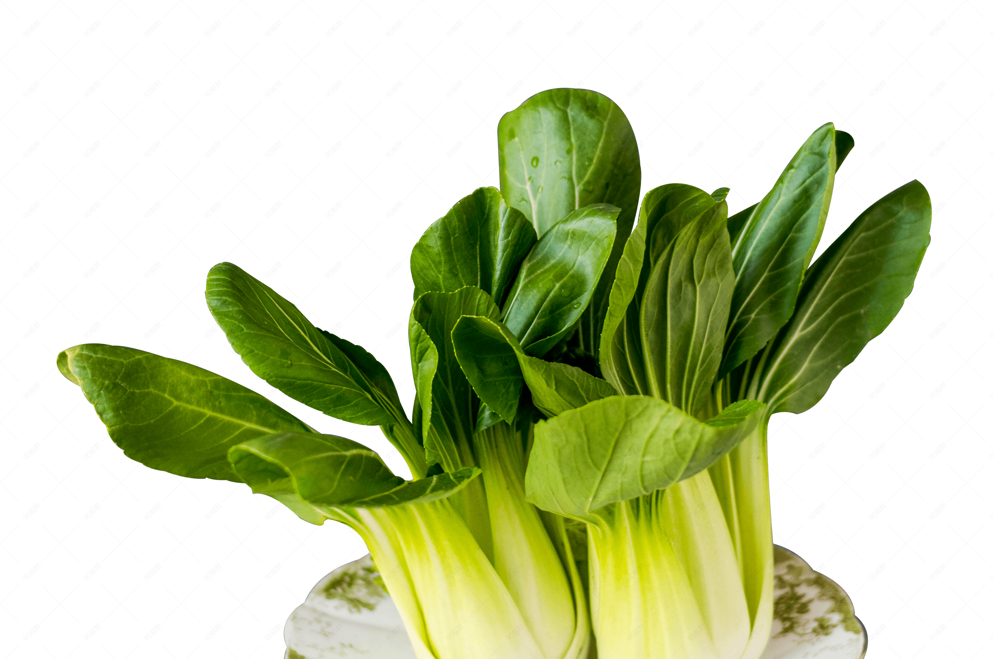 放在盘子里的鲜嫩翠绿小白菜