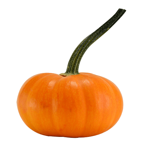 免扣带有藤蔓的金黄南瓜