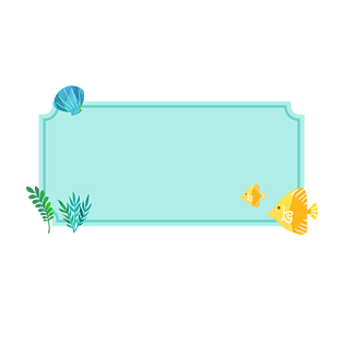 贝壳海鲜鱼类海草植物标签边框底纹