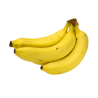 香蕉叶子图片大全