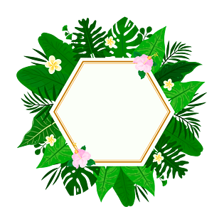 彩色绿色花环绿叶边框png