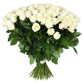 白玫瑰花束图片大全 白玫瑰花束图片素材 Png免费下载 90设计网