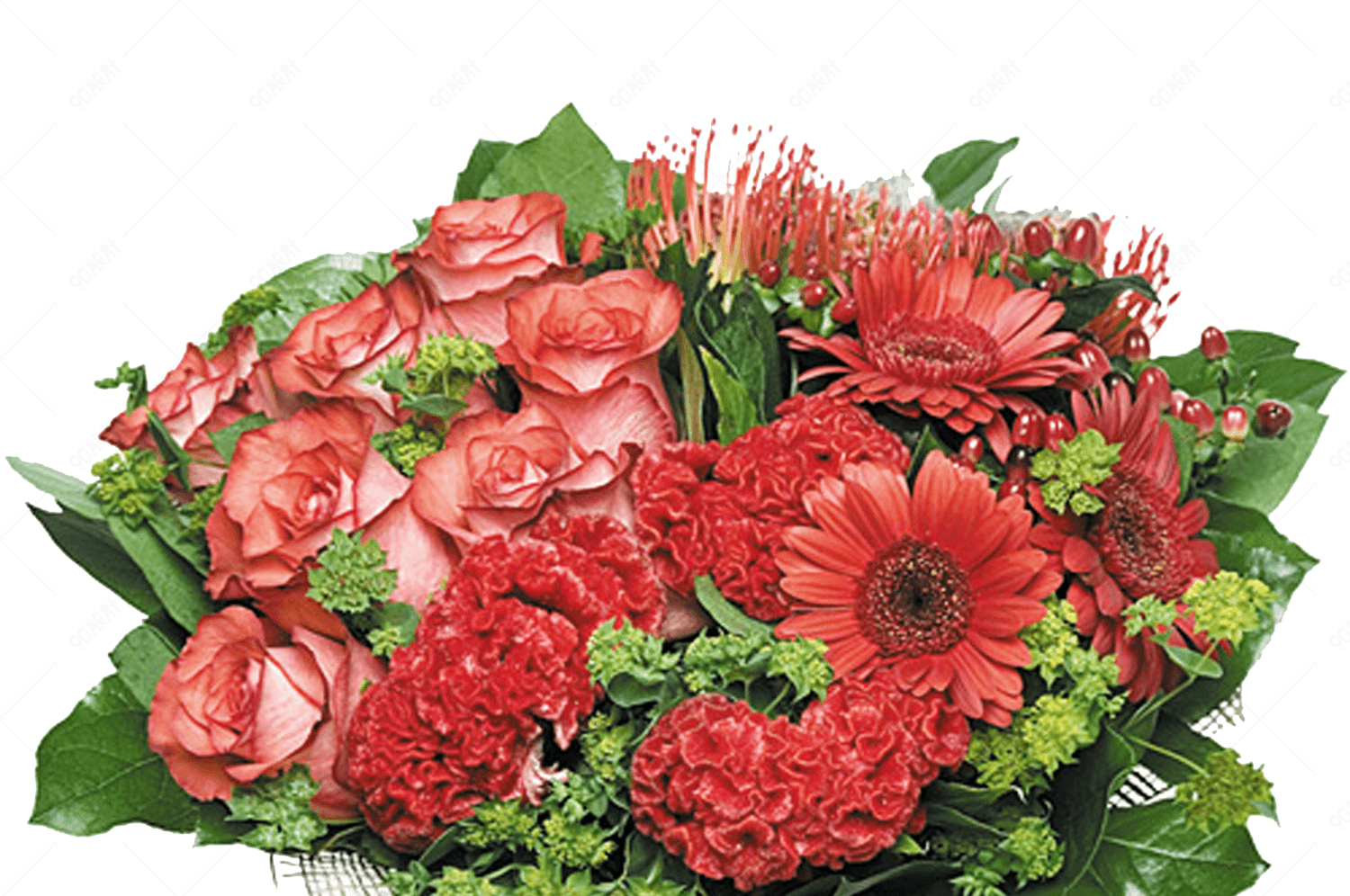 ??????????PNG?????PNG?-90???