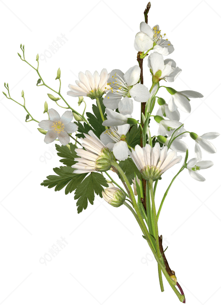 白色清新小花植物png【免抠元素png】-90设计网