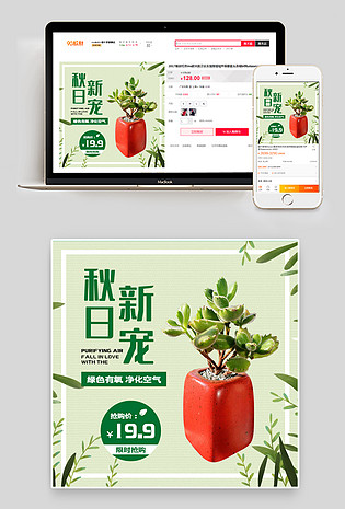 简约小清新多肉植物桌面盆栽主图