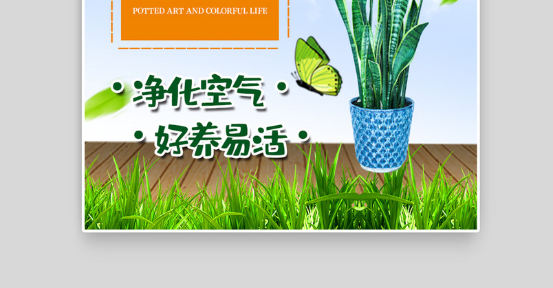 绿植店盆栽一般去哪进货