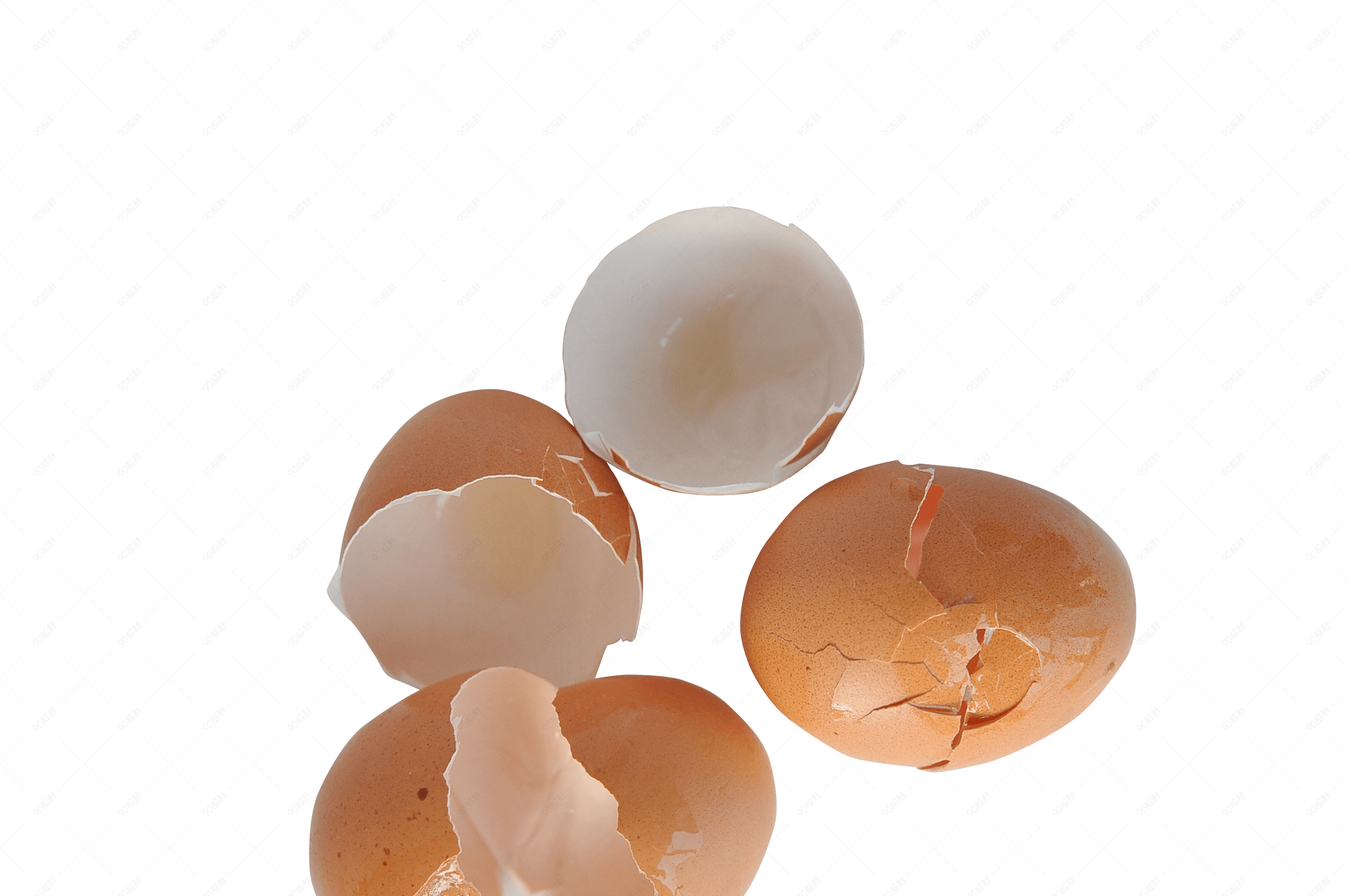 垃圾分类鸡蛋壳实物摄影