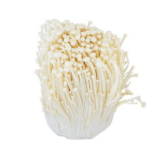 有机蔬菜金针菇实物摄影