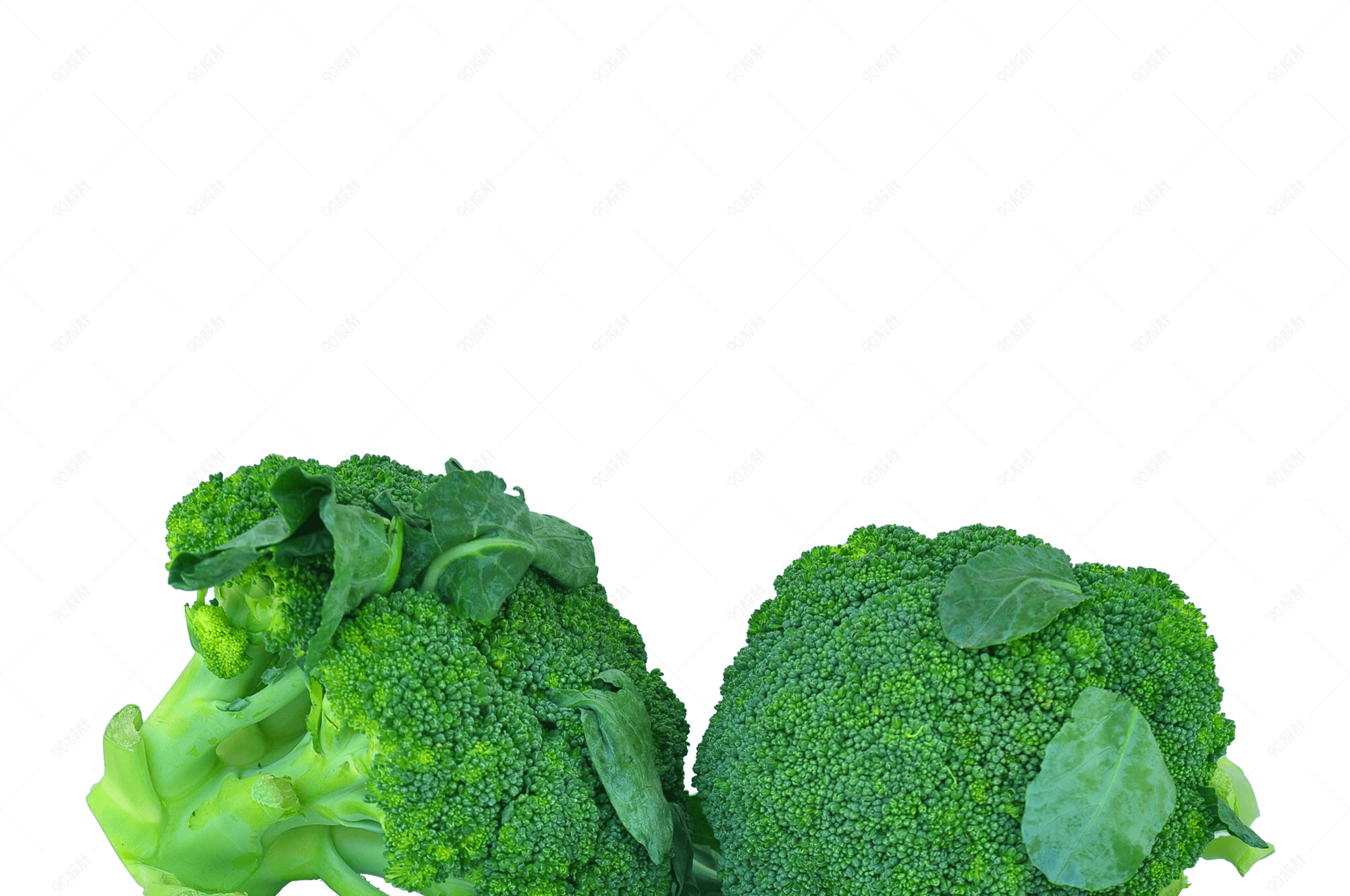 新鲜蔬菜西蓝花实物拍摄