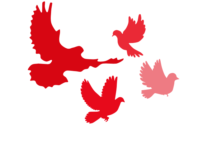 国庆节放飞和平鸽剪影