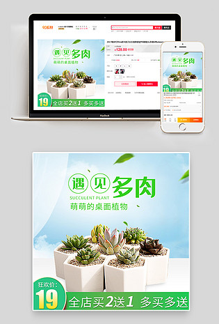 清新风格多肉小植物桌面绿植主图