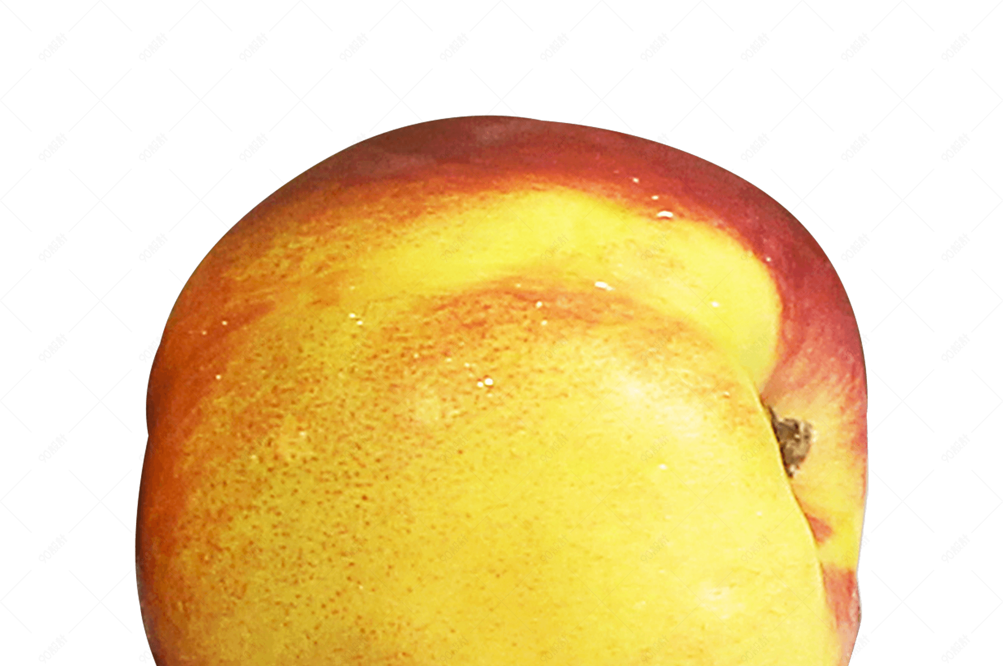 油桃切开水果实物免抠png素材