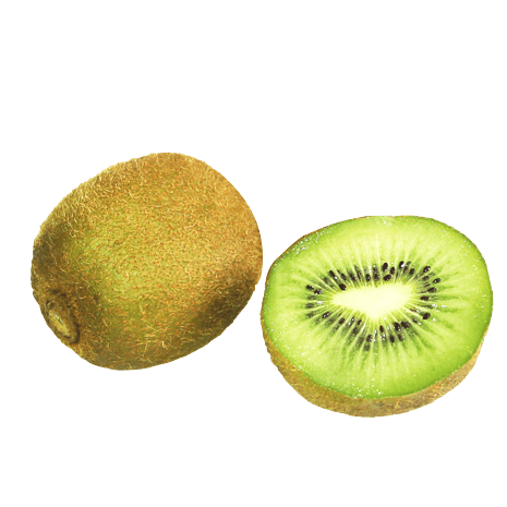 奇异果猕猴桃水果实物免抠png素材