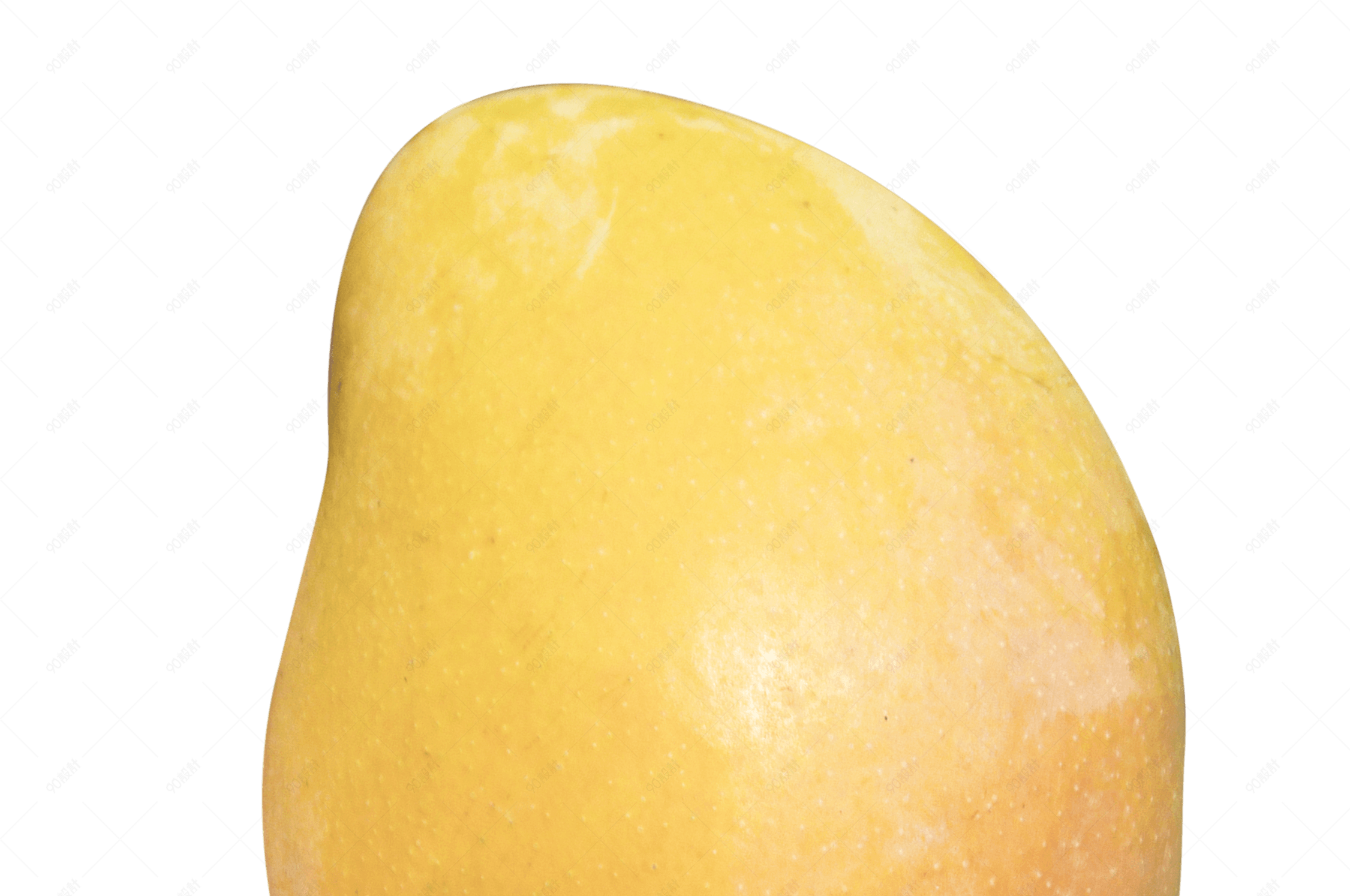 芒果实物免抠png素材