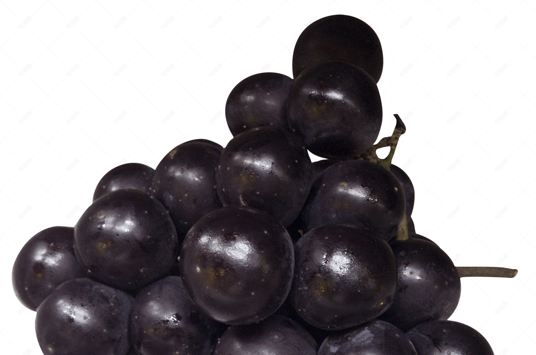 黑加仑子实物免抠png素材