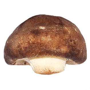 香菇蔬菜免抠实物png素材